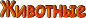 Животные